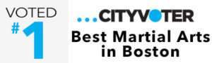 Voted Best Martial Arts in Boston