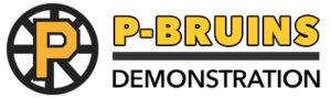 Providence Bruins Demonstration
