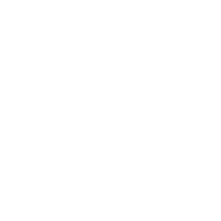 White Belt